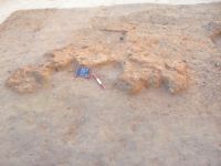 Cronica Cercetărilor Arheologice din România, Campania 2007. Raportul nr. 128, Poduri, Dealul Ghindarului (Rusăieşti)<br /><a href='CronicaCAfotografii/2007/128-PODURI-BC-DealulGhindaru-1/pl-1-2-jos.JPG' target=_blank>Priveşte aceeaşi imagine într-o fereastră nouă</a>