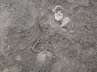 Cronica Cercetărilor Arheologice din România, Campania 2007. Raportul nr. 144, Dulceşti, Ferma legumicolă<br /><a href='CronicaCAfotografii/2007/144-ROSIORI-NT-TarinaVeche-1/cana-fragmentara-l1cas-b.JPG' target=_blank>Priveşte aceeaşi imagine într-o fereastră nouă</a>