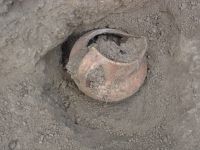 Cronica Cercetărilor Arheologice din România, Campania 2007. Raportul nr. 144, Dulceşti, Ferma legumicolă<br /><a href='CronicaCAfotografii/2007/144-ROSIORI-NT-TarinaVeche-1/cana-gr-2-cas-b.JPG' target=_blank>Priveşte aceeaşi imagine într-o fereastră nouă</a>