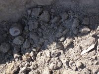 Cronica Cercetărilor Arheologice din România, Campania 2007. Raportul nr. 144, Dulceşti, Ferma legumicolă<br /><a href='CronicaCAfotografii/2007/144-ROSIORI-NT-TarinaVeche-1/fragment-fund-cana-gr-2-cas-b.JPG' target=_blank>Priveşte aceeaşi imagine într-o fereastră nouă</a>