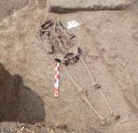 Cronica Cercetărilor Arheologice din România, Campania 2007. Raportul nr. 164, Stelnica, Grădiştea Mare<br /><a href='CronicaCAfotografii/2007/164-STELNICA-IL-GradisteaMare-1/fig-1-3.jpg' target=_blank>Priveşte aceeaşi imagine într-o fereastră nouă</a>