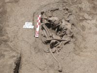 Cronica Cercetărilor Arheologice din România, Campania 2007. Raportul nr. 164, Stelnica, Grădiştea Mare<br /><a href='CronicaCAfotografii/2007/164-STELNICA-IL-GradisteaMare-1/fig-1-4.jpg' target=_blank>Priveşte aceeaşi imagine într-o fereastră nouă</a>