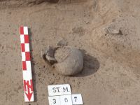 Cronica Cercetărilor Arheologice din România, Campania 2007. Raportul nr. 164, Stelnica, Grădiştea Mare<br /><a href='CronicaCAfotografii/2007/164-STELNICA-IL-GradisteaMare-1/fig-1-8.jpg' target=_blank>Priveşte aceeaşi imagine într-o fereastră nouă</a>