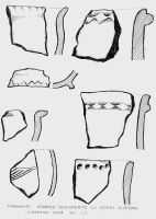 Cronica Cercetărilor Arheologice din România, Campania 2008. Raportul nr. 16, Ceplea, Biserica Dacilor (Valea Satului; Casa Cepleanu)<br /><a href='CronicaCAfotografii/2008/016/foto-03.jpg' target=_blank>Priveşte aceeaşi imagine într-o fereastră nouă</a>