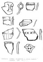 Cronica Cercetărilor Arheologice din România, Campania 2008. Raportul nr. 16, Ceplea, Biserica Dacilor (Valea Satului; Casa Cepleanu)<br /><a href='CronicaCAfotografii/2008/016/foto-06.jpg' target=_blank>Priveşte aceeaşi imagine într-o fereastră nouă</a>