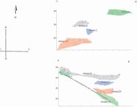 Cronica Cercetărilor Arheologice din România, Campania 2008. Raportul nr. 20, Ciuperceni, La vii<br /><a href='CronicaCAfotografii/2008/020/distributia-verticala-a-materialului-litic-din-nivelurile-a-b-c-d1-si-cr.jpg' target=_blank>Priveşte aceeaşi imagine într-o fereastră nouă</a>