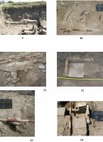 Chronicle of the Archaeological Excavations in Romania, 2008 Campaign. Report no. 21, Corabia<br /><a href='CronicaCAfotografii/2008/021/C.jpg' target=_blank>Display the same picture in a new window</a>