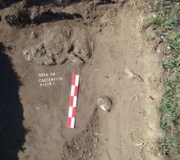 Chronicle of the Archaeological Excavations in Romania, 2008 Campaign. Report no. 26, Desa, Castraviţa<br /><a href='CronicaCAfotografii/2008/026/DSC03980.JPG' target=_blank>Display the same picture in a new window</a>