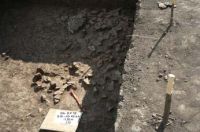 Cronica Cercetărilor Arheologice din România, Campania 2008. Raportul nr. 38, Isaiia, Balta Popii<br /><a href='CronicaCAfotografii/2008/038/5-detaliu-asupra-coltului-locuintei-12.jpg' target=_blank>Priveşte aceeaşi imagine într-o fereastră nouă</a>