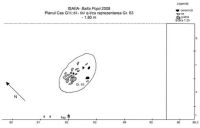 Cronica Cercetărilor Arheologice din România, Campania 2008. Raportul nr. 38, Isaiia, Balta Popii<br /><a href='CronicaCAfotografii/2008/038/7-planul-casetei-g1.jpg' target=_blank>Priveşte aceeaşi imagine într-o fereastră nouă</a>