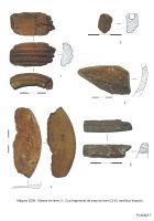 Chronicle of the Archaeological Excavations in Romania, 2008 Campaign. Report no. 46, Măgura, Teleor 003 (Buduiasca, Boldul lui Moş Ivănuş).<br /> Sector 00-poze.<br /><a href='CronicaCAfotografii/2008/046/00-poze/5.jpg' target=_blank>Display the same picture in a new window</a>. Title: 00-poze