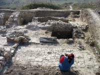 Cronica Cercetărilor Arheologice din România, Campania 2008. Raportul nr. 61, Pantelimon, Cetate<br /><a href='CronicaCAfotografii/2008/061/09-ulm-08-sector-sud-bazilica-anexa-bazilica-sec-v-si-baraca-sec-vi.JPG' target=_blank>Priveşte aceeaşi imagine într-o fereastră nouă</a>