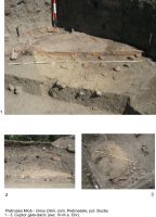 Cronica Cercetărilor Arheologice din România, Campania 2008. Raportul nr. 66, Pietroasa Mică, Gruiu Dării<br /><a href='CronicaCAfotografii/2008/066/gruiudarii2008-planse-1.jpg' target=_blank>Priveşte aceeaşi imagine într-o fereastră nouă</a>