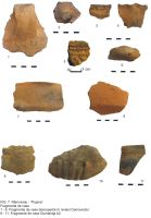 Cronica Cercetărilor Arheologice din România, Campania 2008. Raportul nr. 73, Rîmnicelu, Popina<br /><a href='CronicaCAfotografii/2008/073/fig-07-fragmente-de-vase-foto.JPG' target=_blank>Priveşte aceeaşi imagine într-o fereastră nouă</a>