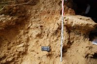 Cronica Cercetărilor Arheologice din România, Campania 2008. Raportul nr. 98, Târguşor, La Adam<br /><a href='CronicaCAfotografii/2008/098/sector-ag-profil-stratigrafic-dsc-0359.JPG' target=_blank>Priveşte aceeaşi imagine într-o fereastră nouă</a>