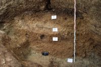 Cronica Cercetărilor Arheologice din România, Campania 2008. Raportul nr. 98, Târguşor, La Adam<br /><a href='CronicaCAfotografii/2008/098/sondaj-3-profil-stratigrafic-dsc-0350.JPG' target=_blank>Priveşte aceeaşi imagine într-o fereastră nouă</a>