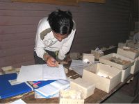 Cronica Cercetărilor Arheologice din România, Campania 2008. Raportul nr. 102, Ţaga, Baza arheologică<br /><a href='CronicaCAfotografii/2008/102/fig-16.jpg' target=_blank>Priveşte aceeaşi imagine într-o fereastră nouă</a>