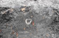 Cronica Cercetărilor Arheologice din România, Campania 2008. Raportul nr. 102, Ţaga, Baza arheologică<br /><a href='CronicaCAfotografii/2008/102/fig-5.jpg' target=_blank>Priveşte aceeaşi imagine într-o fereastră nouă</a>