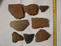 Cronica Cercetărilor Arheologice din România, Campania 2008. Raportul nr. 124, Brăduţ, Dealul Rotund (Muntele de Piatră)<br /><a href='CronicaCAfotografii/2008/124/1-fragmente-ceramice.JPG' target=_blank>Priveşte aceeaşi imagine într-o fereastră nouă</a>