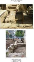 Chronicle of the Archaeological Excavations in Romania, 2008 Campaign. Report no. 135, Bucureşti<br /><a href='CronicaCAfotografii/2008/135/plansa-2.jpg' target=_blank>Display the same picture in a new window</a>