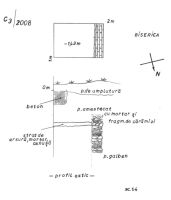 Cronica Cercetărilor Arheologice din România, Campania 2008. Raportul nr. 148, Focşani, Grădina Publică<br /><a href='CronicaCAfotografii/2008/148/scan0017.jpg' target=_blank>Priveşte aceeaşi imagine într-o fereastră nouă</a>