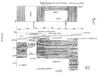 Cronica Cercetărilor Arheologice din România, Campania 2008. Raportul nr. 148, Focşani, Grădina Publică<br /><a href='CronicaCAfotografii/2008/148/scan0023.jpg' target=_blank>Priveşte aceeaşi imagine într-o fereastră nouă</a>