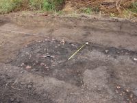 Cronica Cercetărilor Arheologice din România, Campania 2008. Raportul nr. 149, Fulgeriş, La Trei Cireşi (Dealul Fulgeriş).<br /> Sectorul Ilustratie.<br /><a href='CronicaCAfotografii/2008/149/fig2-2-aspect-general-al-sectiunii-s-x-in-timpul-cercetarii.JPG' target=_blank>Priveşte aceeaşi imagine într-o fereastră nouă</a>