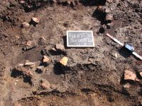 Cronica Cercetărilor Arheologice din România, Campania 2008. Raportul nr. 149, Fulgeriş, La Trei Cireşi (Dealul Fulgeriş).<br /> Sectorul Ilustratie.<br /><a href='CronicaCAfotografii/2008/149/fig3-1-aspecte-din-timpul-cercetarii-sectiunii-s-x.jpg' target=_blank>Priveşte aceeaşi imagine într-o fereastră nouă</a>