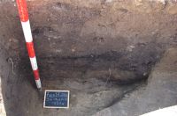 Cronica Cercetărilor Arheologice din România, Campania 2008. Raportul nr. 149, Fulgeriş, La Trei Cireşi (Dealul Fulgeriş).<br /> Sectorul Ilustratie.<br /><a href='CronicaCAfotografii/2008/149/fig3-4-aspecte-din-timpul-cercetarii-sectiunii-s-x.jpg' target=_blank>Priveşte aceeaşi imagine într-o fereastră nouă</a>