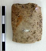 Cronica Cercetărilor Arheologice din România, Campania 2008. Raportul nr. 149, Fulgeriş, La Trei Cireşi (Dealul Fulgeriş).<br /> Sectorul Ilustratie.<br /><a href='CronicaCAfotografii/2008/149/fig4-1-aspecte-din-timpul-cercetarii-gropii-gr-36.jpg' target=_blank>Priveşte aceeaşi imagine într-o fereastră nouă</a>