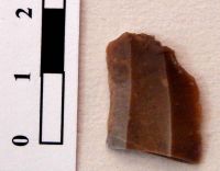 Cronica Cercetărilor Arheologice din România, Campania 2008. Raportul nr. 149, Fulgeriş, La Trei Cireşi (Dealul Fulgeriş).<br /> Sectorul Ilustratie.<br /><a href='CronicaCAfotografii/2008/149/fig4-4-aspecte-din-timpul-cercetarii-gropii-gr-36.jpg' target=_blank>Priveşte aceeaşi imagine într-o fereastră nouă</a>