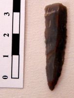 Cronica Cercetărilor Arheologice din România, Campania 2008. Raportul nr. 149, Fulgeriş, La Trei Cireşi (Dealul Fulgeriş).<br /> Sectorul Ilustratie.<br /><a href='CronicaCAfotografii/2008/149/fig4-8-aspecte-din-timpul-cercetarii-gropii-gr-36.jpg' target=_blank>Priveşte aceeaşi imagine într-o fereastră nouă</a>