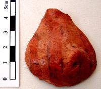 Cronica Cercetărilor Arheologice din România, Campania 2008. Raportul nr. 149, Fulgeriş, La Trei Cireşi (Dealul Fulgeriş).<br /> Sectorul Ilustratie.<br /><a href='CronicaCAfotografii/2008/149/fig7-1-fragmente-ceramice.JPG' target=_blank>Priveşte aceeaşi imagine într-o fereastră nouă</a>