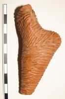 Cronica Cercetărilor Arheologice din România, Campania 2008. Raportul nr. 149, Fulgeriş, La Trei Cireşi (Dealul Fulgeriş).<br /> Sectorul Ilustratie.<br /><a href='CronicaCAfotografii/2008/149/fig9-1-plastica-antropomorfa-feminina.JPG' target=_blank>Priveşte aceeaşi imagine într-o fereastră nouă</a>