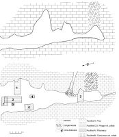 Cronica Cercetărilor Arheologice din România, Campania 2008. Raportul nr. 167, Moieciu De Jos, Peştera Coacăzei<br /><a href='CronicaCAfotografii/2008/167/1-pestera-coacazei-in-profil-longitudinal-si-plan.jpg' target=_blank>Priveşte aceeaşi imagine într-o fereastră nouă</a>