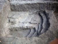 Cronica Cercetărilor Arheologice din România, Campania 2008. Raportul nr. 168, Negrileşti, Şcoala Generală (La Punte, Pin, Curtea Şcolii).<br /> Sectorul plansa-IMDA.<br /><a href='CronicaCAfotografii/2008/168/pl-6-1.JPG' target=_blank>Priveşte aceeaşi imagine într-o fereastră nouă</a>