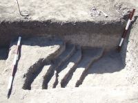 Cronica Cercetărilor Arheologice din România, Campania 2008. Raportul nr. 168, Negrileşti, Şcoala Generală (La Punte, Pin, Curtea Şcolii).<br /> Sectorul plansa-IMDA.<br /><a href='CronicaCAfotografii/2008/168/pl-6-2.jpg' target=_blank>Priveşte aceeaşi imagine într-o fereastră nouă</a>