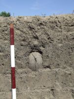 Cronica Cercetărilor Arheologice din România, Campania 2008. Raportul nr. 168, Negrileşti, Şcoala Generală (La Punte, Pin, Curtea Şcolii).<br /> Sectorul plansa-IMDA.<br /><a href='CronicaCAfotografii/2008/168/pl-7-1.jpg' target=_blank>Priveşte aceeaşi imagine într-o fereastră nouă</a>