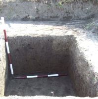 Cronica Cercetărilor Arheologice din România, Campania 2008. Raportul nr. 168, Negrileşti, Şcoala Generală (La Punte, Pin, Curtea Şcolii).<br /> Sectorul plansa-IMDA.<br /><a href='CronicaCAfotografii/2008/168/pl-7-2.JPG' target=_blank>Priveşte aceeaşi imagine într-o fereastră nouă</a>