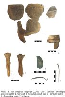 Cronica Cercetărilor Arheologice din România, Campania 2008. Raportul nr. 168, Negrileşti, Şcoala Generală (La Punte, Pin, Curtea Şcolii).<br /> Sectorul plansa-IMDA.<br /><a href='CronicaCAfotografii/2008/168/plansa-08.jpg' target=_blank>Priveşte aceeaşi imagine într-o fereastră nouă</a>