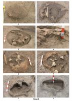 Cronica Cercetărilor Arheologice din România, Campania 2008. Raportul nr. 170, Olteni, Cariera de nisip/Tag (Tag)<br /><a href='CronicaCAfotografii/2008/170/plansa-iii.jpg' target=_blank>Priveşte aceeaşi imagine într-o fereastră nouă</a>
