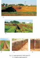 Cronica Cercetărilor Arheologice din România, Campania 2008. Raportul nr. 173, Ploieştiori, Mall Ploieşti<br /><a href='CronicaCAfotografii/2008/173/2-vedere-generala-si-detalii.jpg' target=_blank>Priveşte aceeaşi imagine într-o fereastră nouă</a>