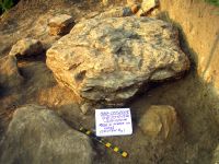 Cronica Cercetărilor Arheologice din România, Campania 2008. Raportul nr. 177, Răducăneni, Bâzga (Cetăţuie, Dealului Socilor)<br /><a href='CronicaCAfotografii/2008/177/1.JPG' target=_blank>Priveşte aceeaşi imagine într-o fereastră nouă</a>