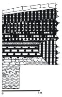 Cronica Cercetărilor Arheologice din România, Campania 2008. Raportul nr. 183, Sibiu<br /><a href='CronicaCAfotografii/2008/183/pl-viii.jpg' target=_blank>Priveşte aceeaşi imagine într-o fereastră nouă</a>