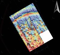 Cronica Cercetărilor Arheologice din România, Campania 2009. Raportul nr. 123, Fulgeriş, La Trei Cireşi (Dealul Fulgeriş).<br /> Sectorul Ilustratie.<br /><a href='CronicaCAfotografii/2009/preventive/123/2-prospectiuni-geomagnetice.jpg' target=_blank>Priveşte aceeaşi imagine într-o fereastră nouă</a>