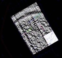 Cronica Cercetărilor Arheologice din România, Campania 2009. Raportul nr. 123, Fulgeriş, La Trei Cireşi (Dealul Fulgeriş).<br /> Sectorul Ilustratie.<br /><a href='CronicaCAfotografii/2009/preventive/123/3-prospectiuni-geomagnetice.jpg' target=_blank>Priveşte aceeaşi imagine într-o fereastră nouă</a>