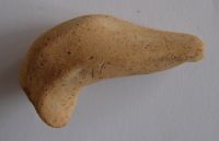 Cronica Cercetărilor Arheologice din România, Campania 2009. Raportul nr. 123, Fulgeriş, La Trei Cireşi (Dealul Fulgeriş).<br /> Sectorul Ilustratie.<br /><a href='CronicaCAfotografii/2009/preventive/123/fig8-6-Protome-zoomorfe.JPG' target=_blank>Priveşte aceeaşi imagine într-o fereastră nouă</a>