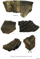 Cronica Cercetărilor Arheologice din România, Campania 2009. Raportul nr. 144, Nanov, Vistireasa 2<br /><a href='CronicaCAfotografii/2009/preventive/144/Plansa07.JPG' target=_blank>Priveşte aceeaşi imagine într-o fereastră nouă</a>