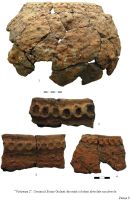 Cronica Cercetărilor Arheologice din România, Campania 2009. Raportul nr. 144, Nanov, Vistireasa 2<br /><a href='CronicaCAfotografii/2009/preventive/144/Plansa08.JPG' target=_blank>Priveşte aceeaşi imagine într-o fereastră nouă</a>