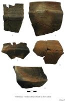 Cronica Cercetărilor Arheologice din România, Campania 2009. Raportul nr. 144, Nanov, Vistireasa 2<br /><a href='CronicaCAfotografii/2009/preventive/144/Plansa09.JPG' target=_blank>Priveşte aceeaşi imagine într-o fereastră nouă</a>